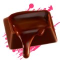 Praline of dark chocolate and almonds